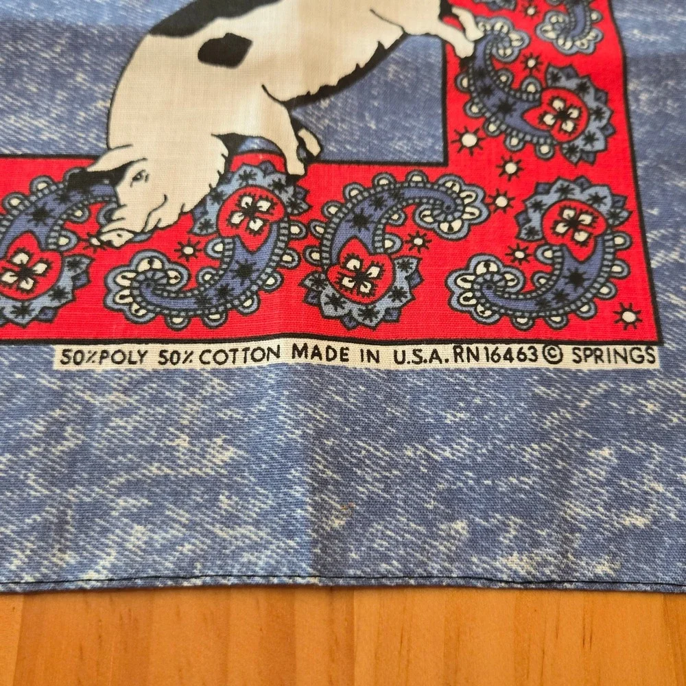 Springs vintage pig
